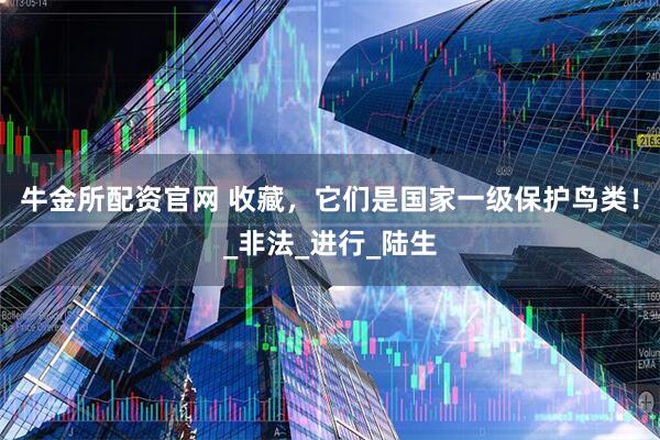 牛金所配资官网 收藏，它们是国家一级保护鸟类！_非法_进行_陆生