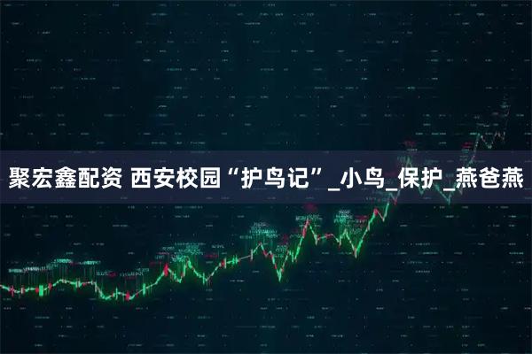 聚宏鑫配资 西安校园“护鸟记”_小鸟_保护_燕爸燕